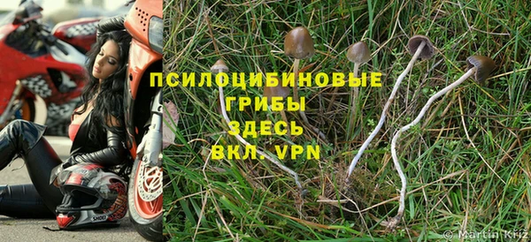 трава Верхнеуральск