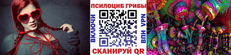 Галлюциногенные грибы Cubensis  Можайск 