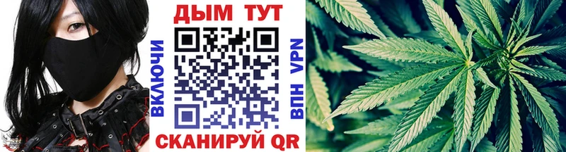omg ссылки  сколько стоит  Можайск  Каннабис ГИДРОПОН 